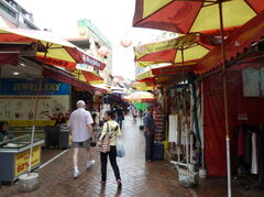 P1000028.JPG