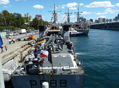 P1000654.JPG