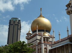 P1000038.JPG
