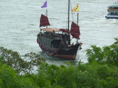 P1000286.JPG