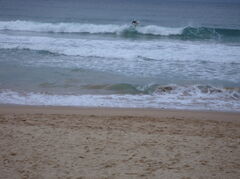 DSC00916.JPG