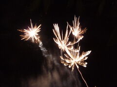 P1000453.JPG