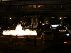 DSC01106.JPG