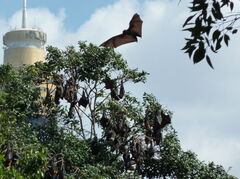 P1000731.JPG