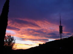 DSC00255.JPG