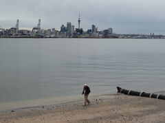P1000123.JPG
